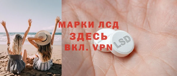 прущие грибы Аркадак
