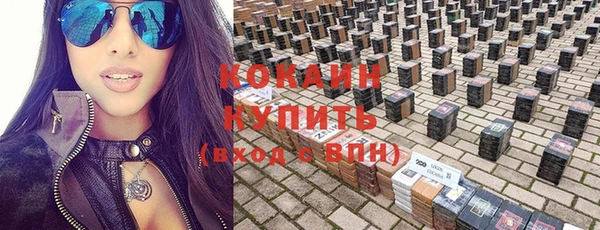 прущие грибы Аркадак