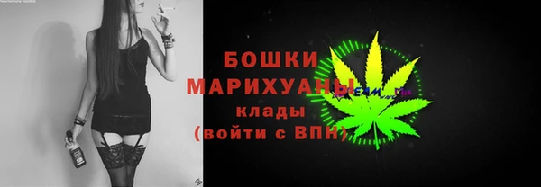 прущие грибы Аркадак