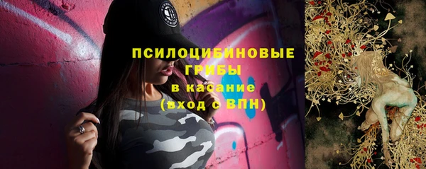 винт Арсеньев