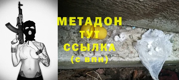 прущие грибы Аркадак