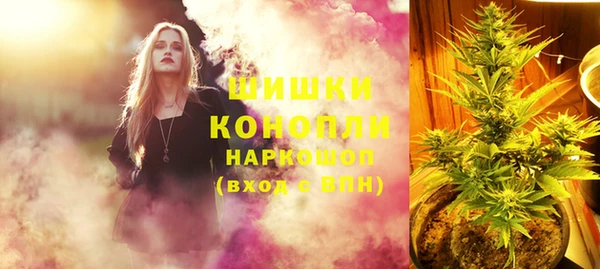 винт Арсеньев