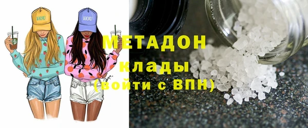 прущие грибы Аркадак