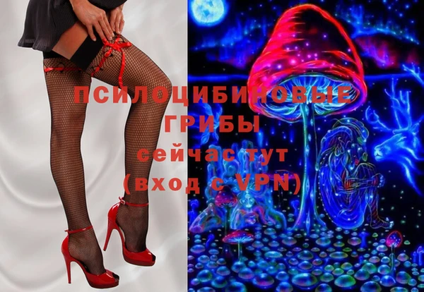 прущие грибы Аркадак