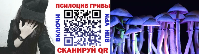 Галлюциногенные грибы Magic Shrooms Армянск