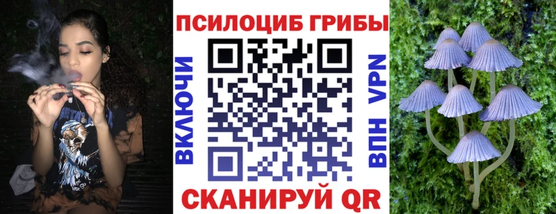 Псилоцибиновые грибы мицелий  блэк спрут tor  Армянск 